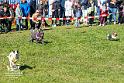 D_Foto Laudi_SO_Fruehlingsfest_Zeitlarn-200